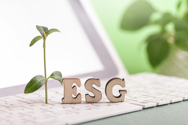 Czy Investeko może być liderem ESG na New Connect?