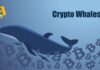 Wieloryb crypto