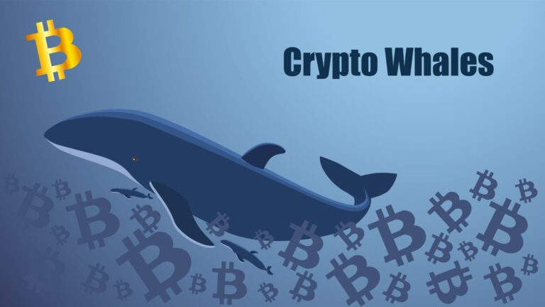 Kim są wieloryby na rynku crypto?