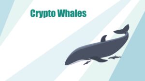 Wieloryby crypto