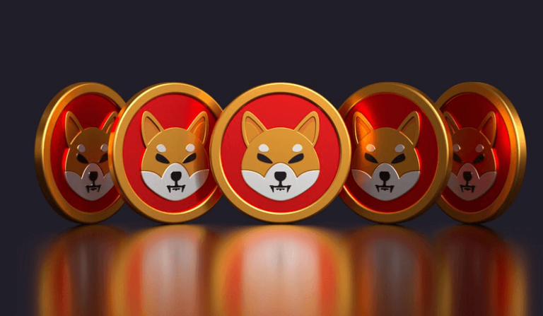 Jeśli jesteś posiadaczem Shiba Inu, musisz to przeczytać